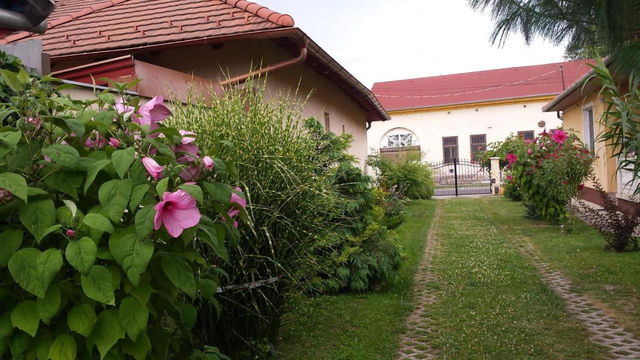 Apartament Eliza Vendeghaz Hajdúszoboszló Zewnętrze zdjęcie